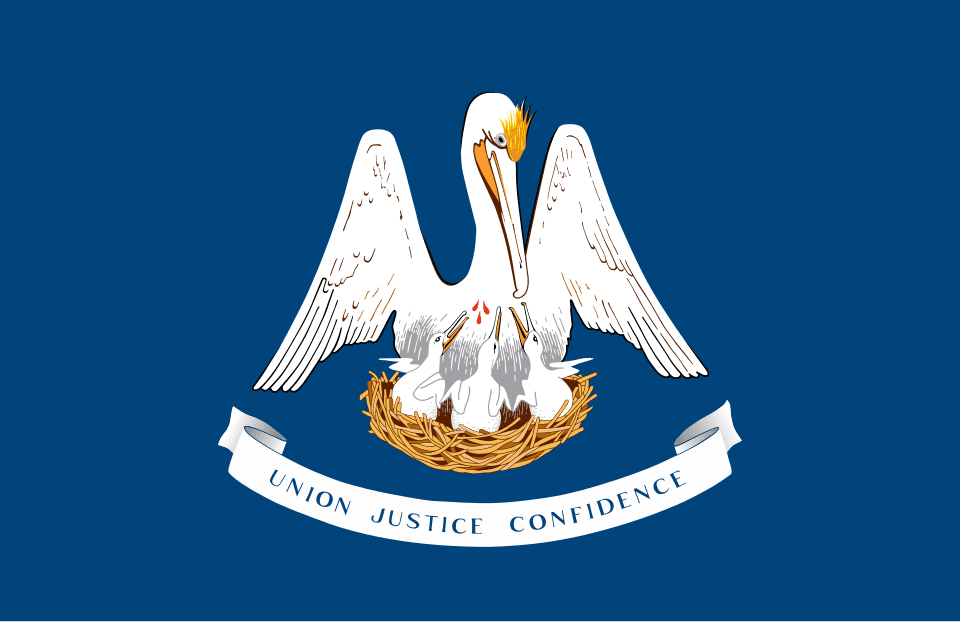 en-US-AFR flag